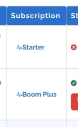 Two different subscription tiers that may be on display, example given being "Starter" and "Boom Plus".
