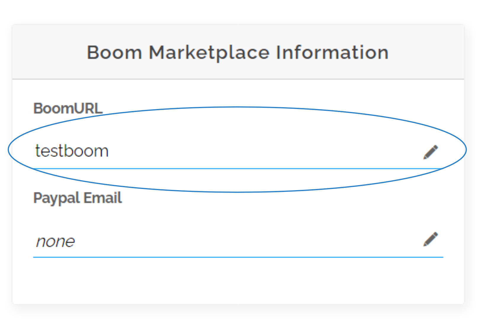 Image of setting a BoomURL in Boom Marketplace Information.