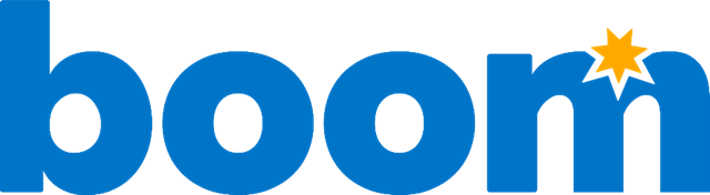 Image of the Boom Learning logo